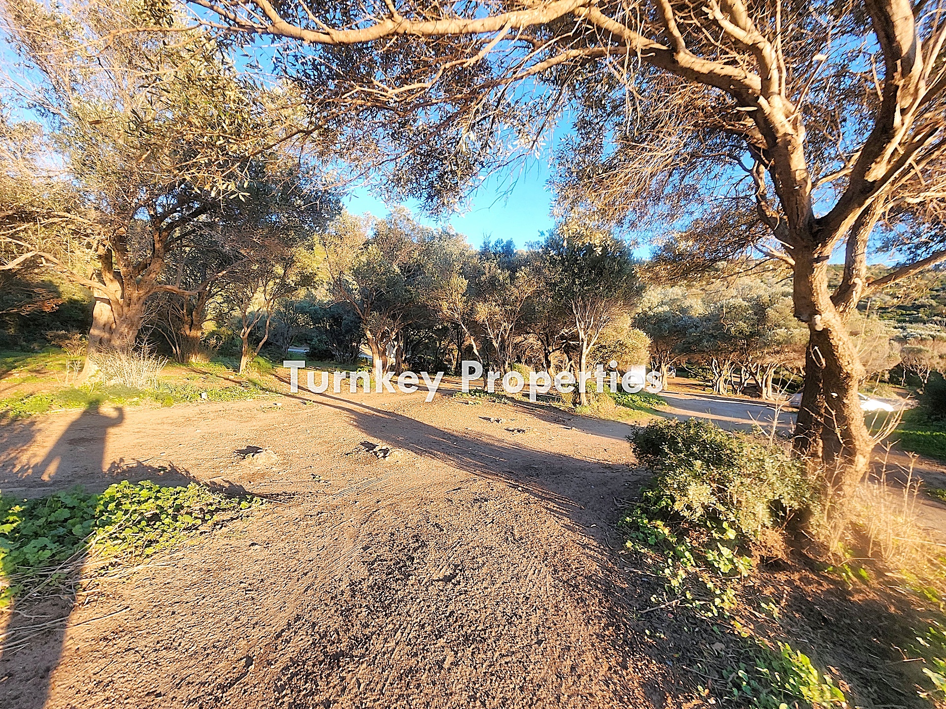 Gümüşlük Kadıkalesinde Satılık İkiz Dubleks Deniz Manzaralı Bahçe