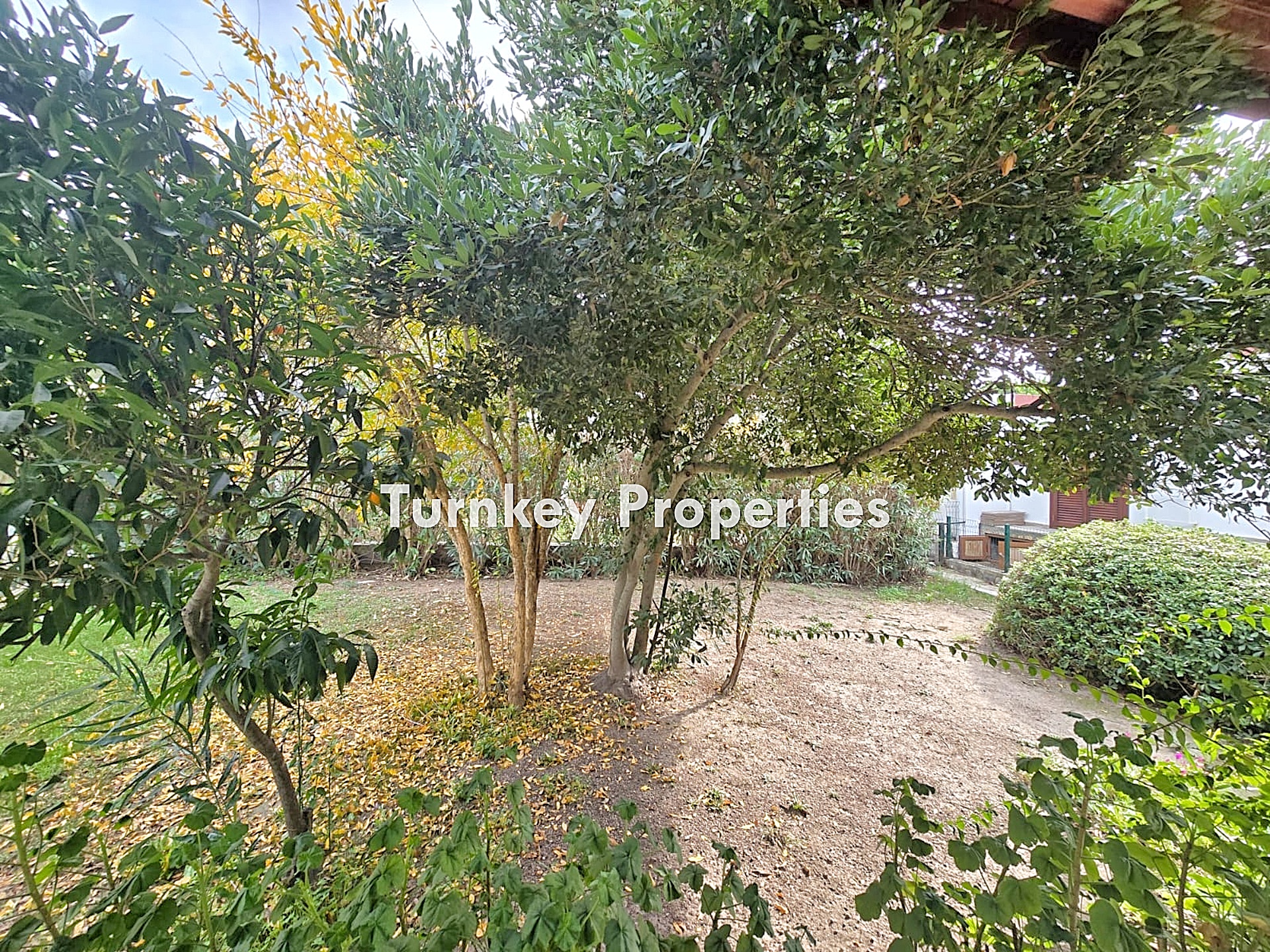 Adabükü Doktorlar Sitesinde Denize Yakın Satılık İkiz Villa Bahçe