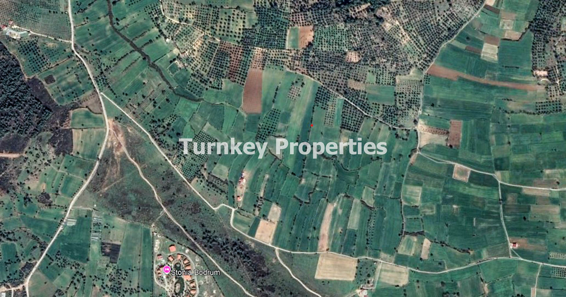 Milas Karapınar’da Satılık Düz Tarım Arazisi Yarı Hisse