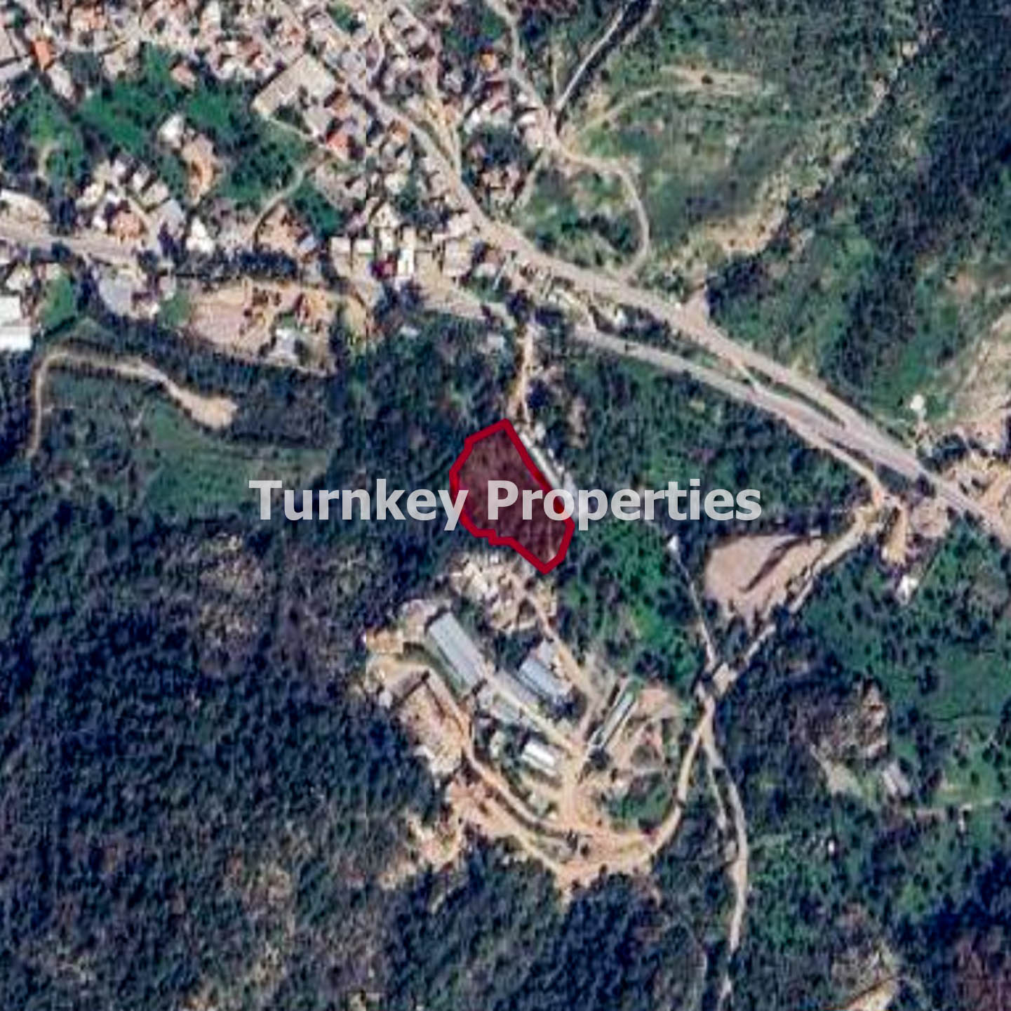 Bodrum Gündoğan Karacababa Satılık 5.105 m2 Zeytinli Tarla