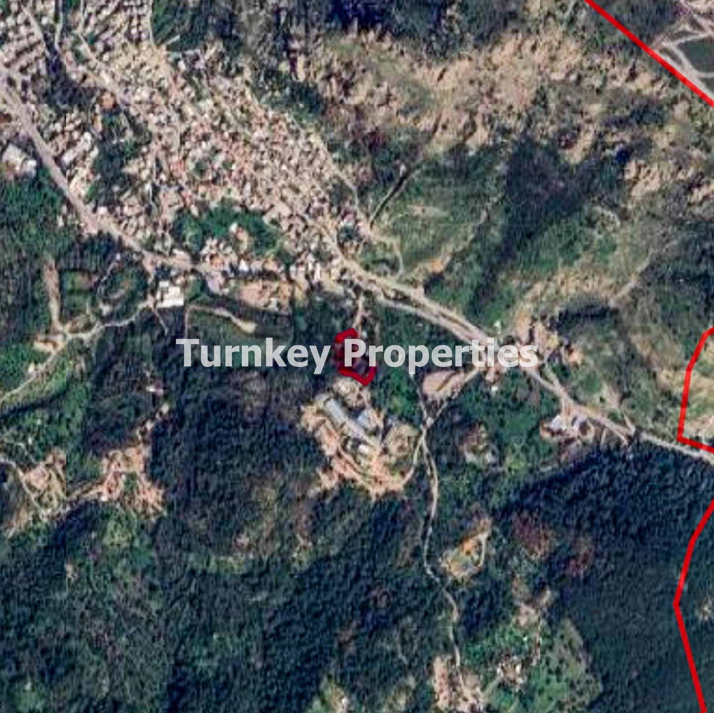 Bodrum Gündoğan Karacababa Satılık 5.105 m2 Zeytinli Tarla