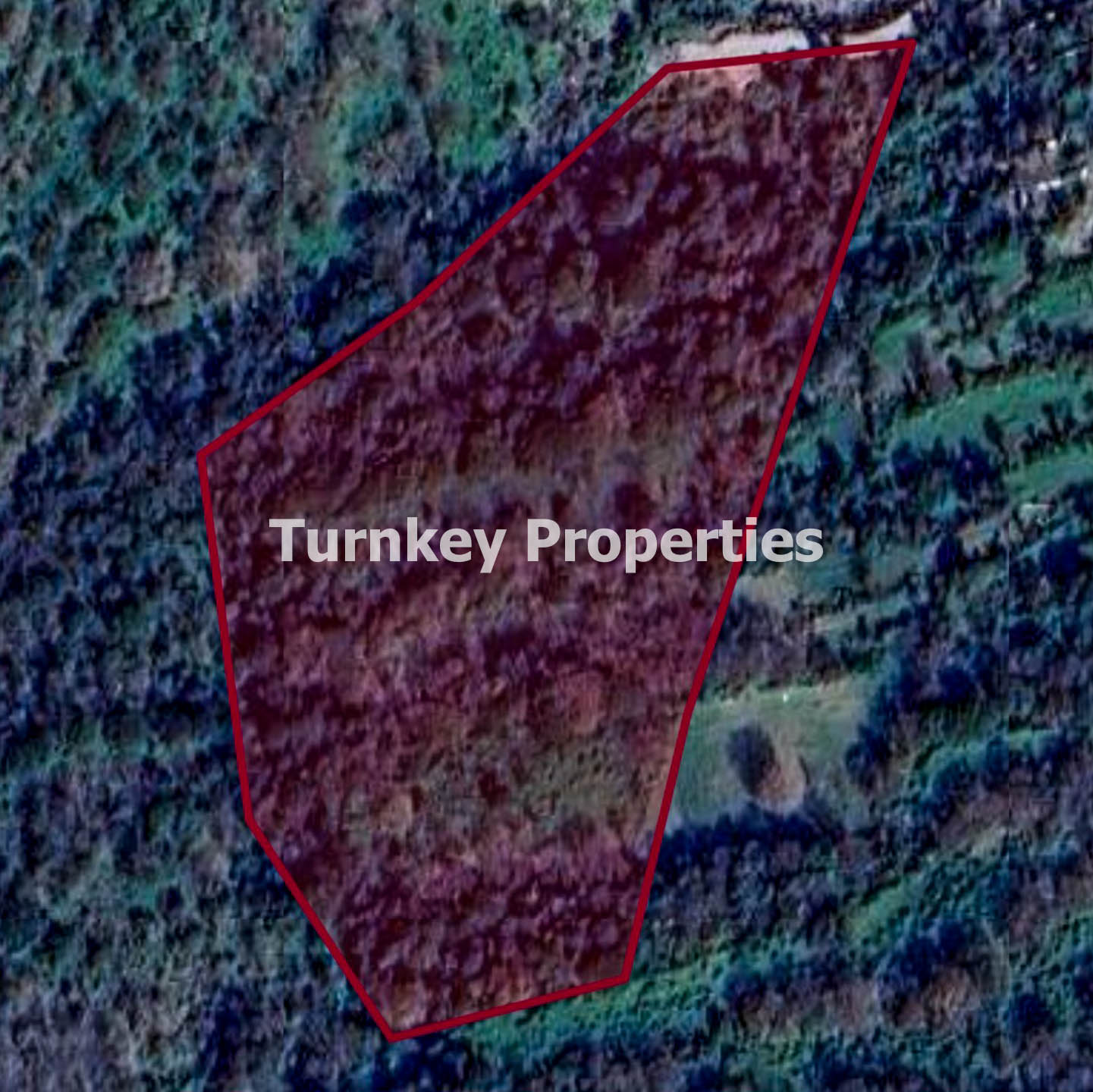 Bodrum Gündoğan Kışlaarası 0.15 İmarlı Satılık Geniş Arsa