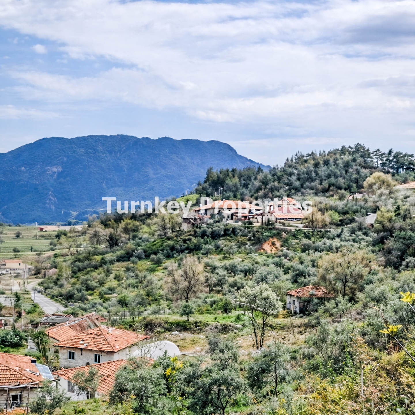 Menteşe Kuzluk 1000 m2 Köyiçi 250 m2 Ev İmarlı Satılık Arsa