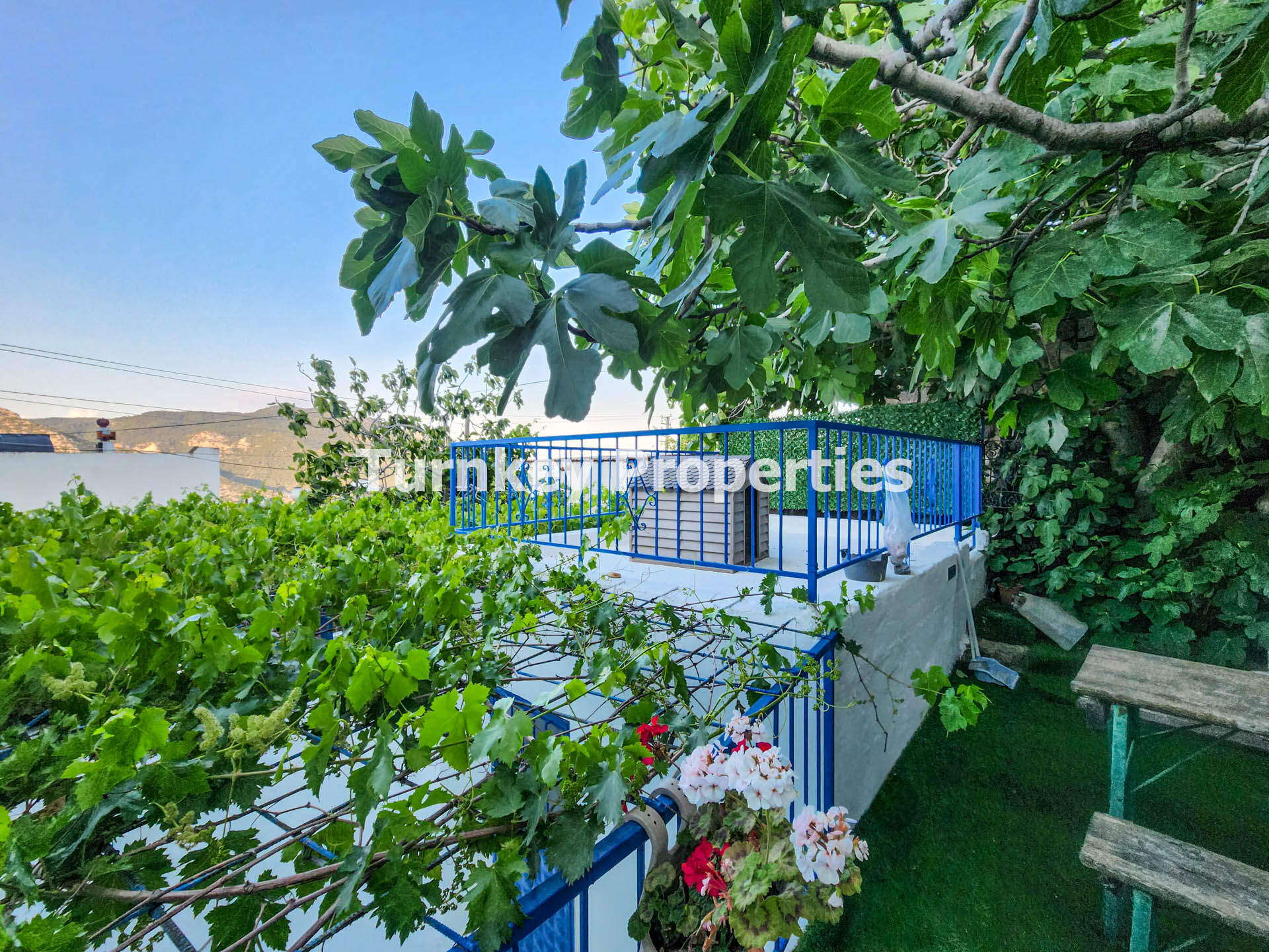Yakaköy Kiralık Avlulu Bodrum Taş Ev Müstakil Yaşam ve Bahçeli Ev