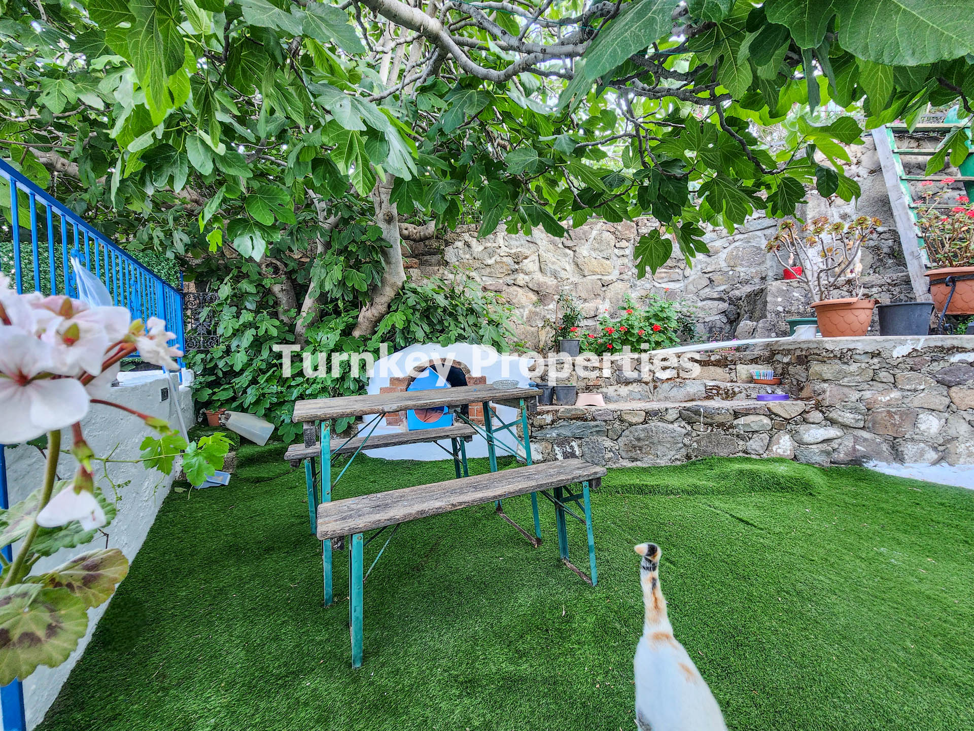 Yakaköy Kiralık Avlulu Bodrum Taş Ev Müstakil Yaşam ve Bahçeli Ev