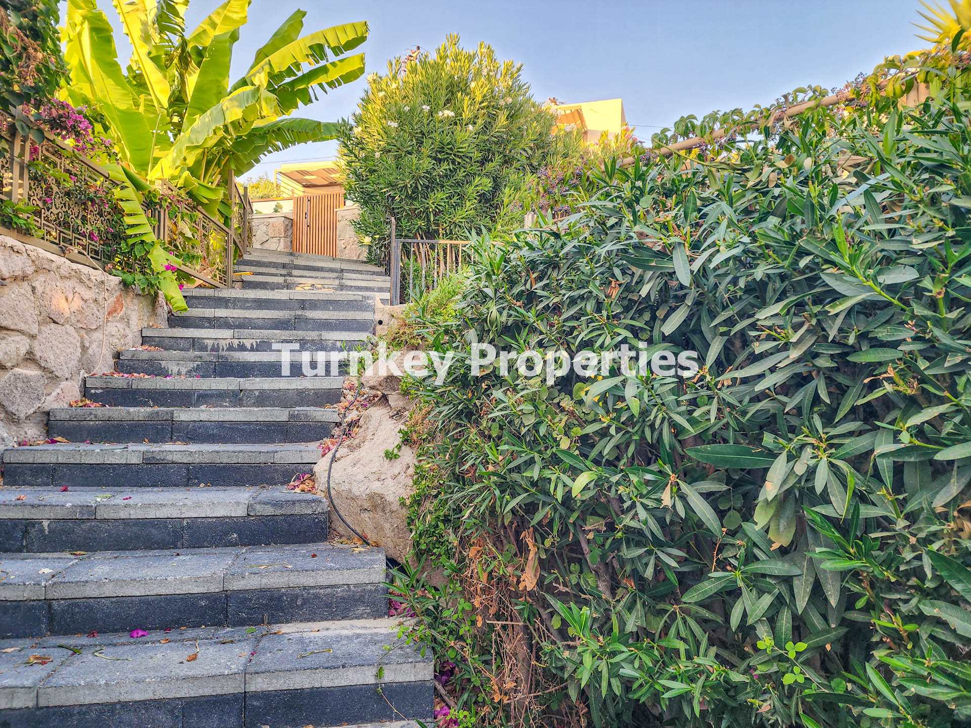 Aegean Hills Yalıkavak, Bodrum'da Sezonluk Kiralık Havuzlu Villa