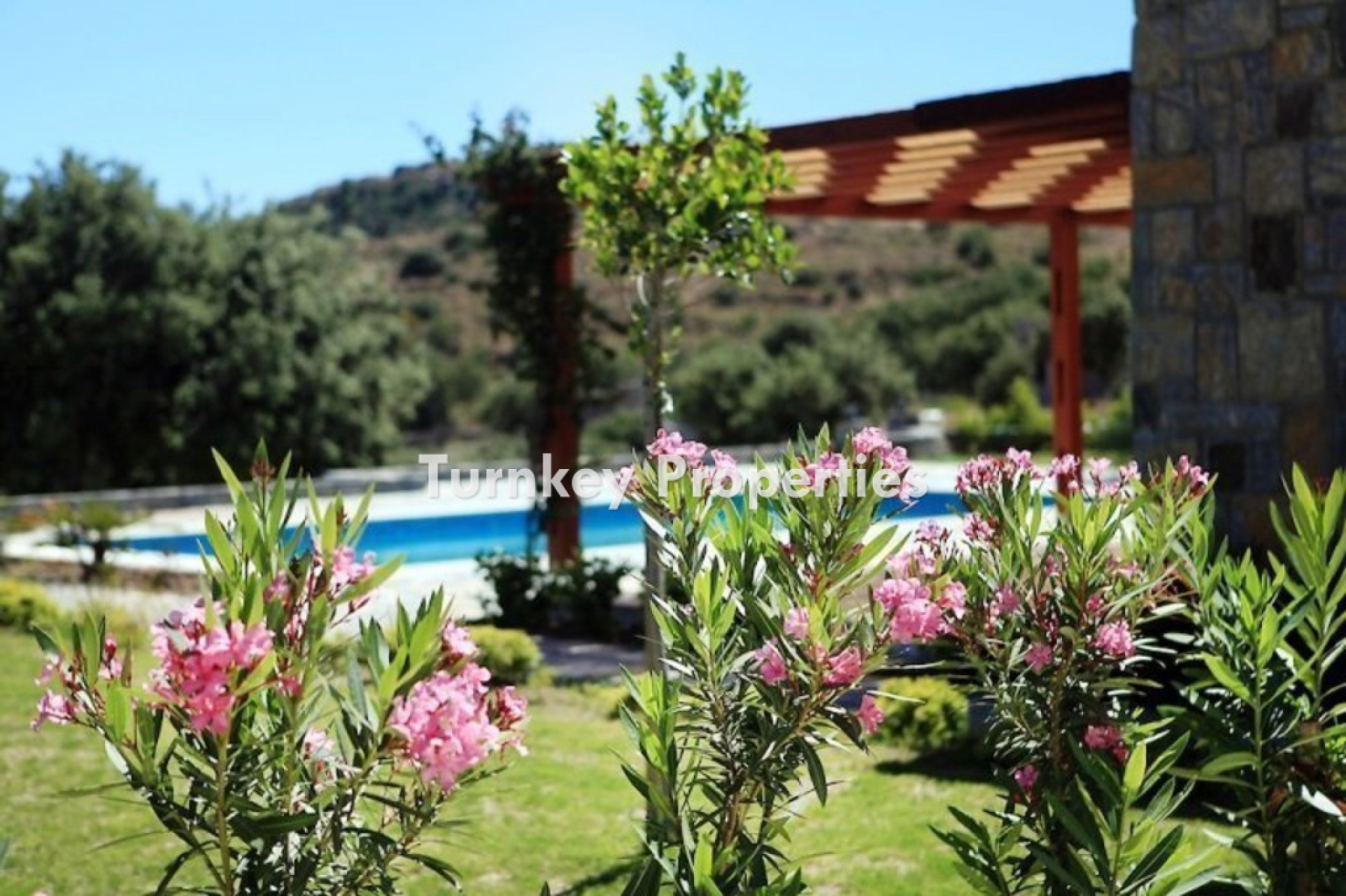 Gümüşlük Satılık Müstakil Tek Katlı Özel Havuzlu Bahçeli Villa