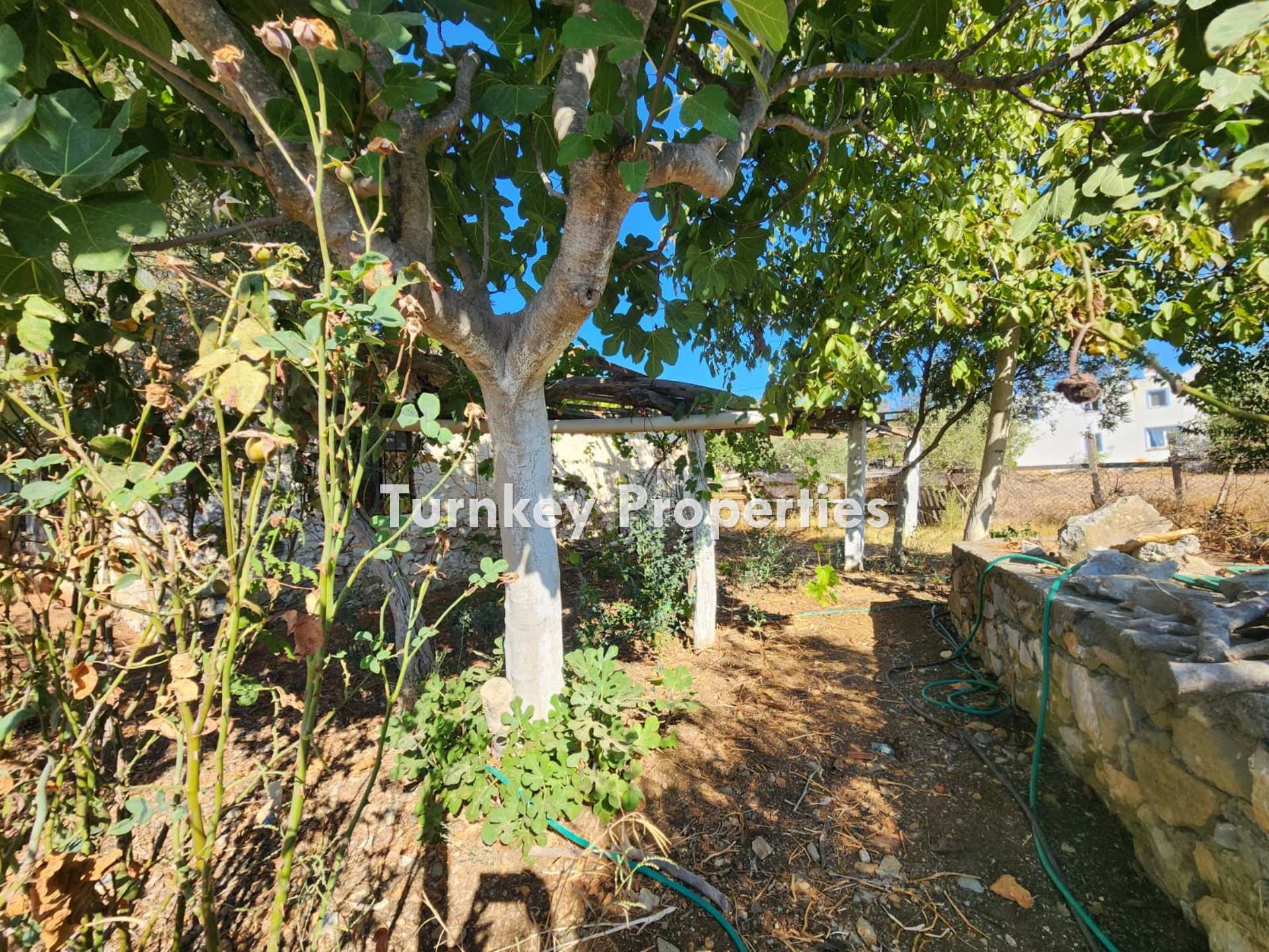 Kumköy Satılık Müstakil Köy Evi Regnum Golf Bodrum Komşu