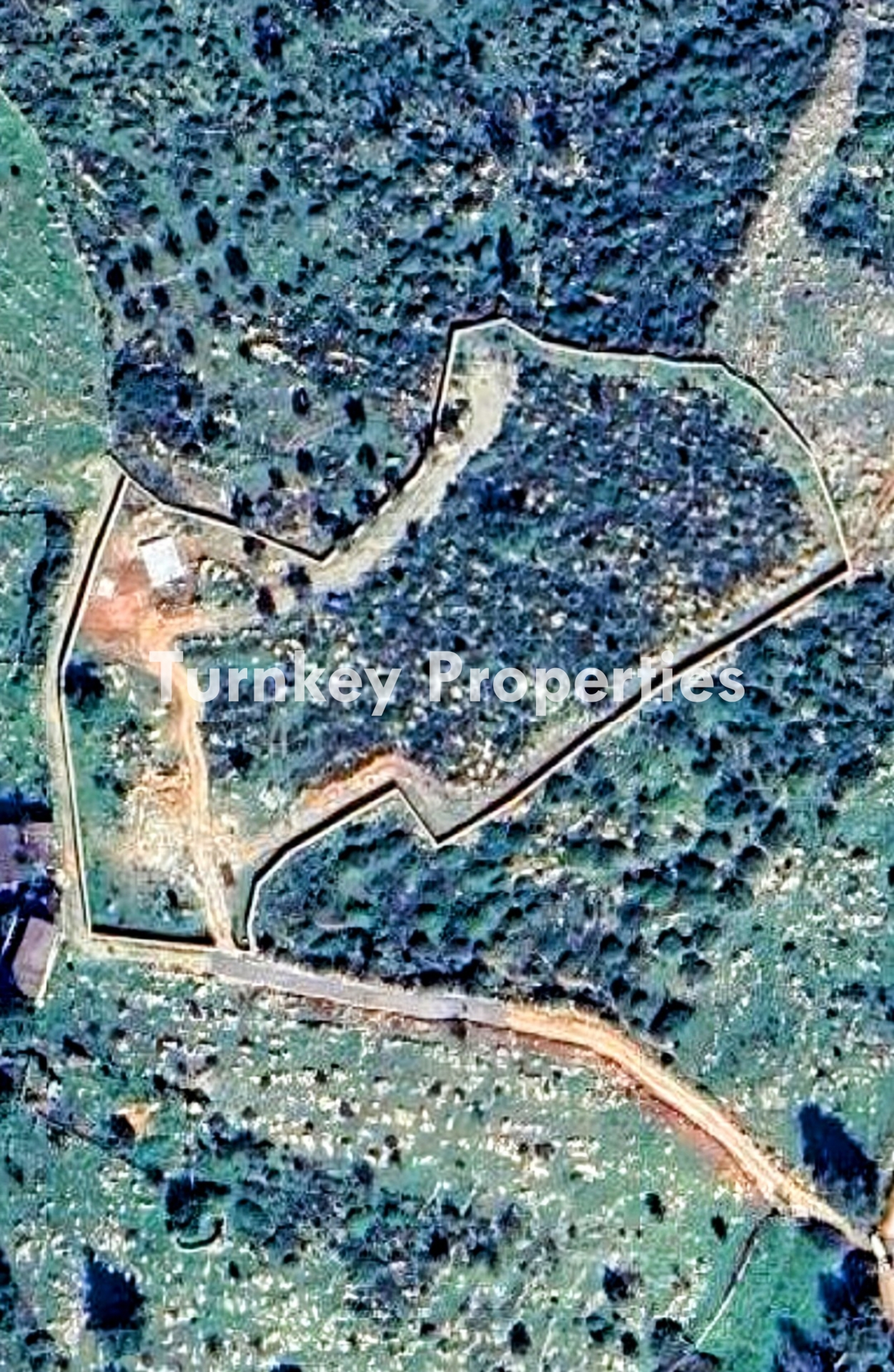 Kumköy, Bodrum Satılık Arazi 11.555 m² Yatırım Değeri Yüksek 