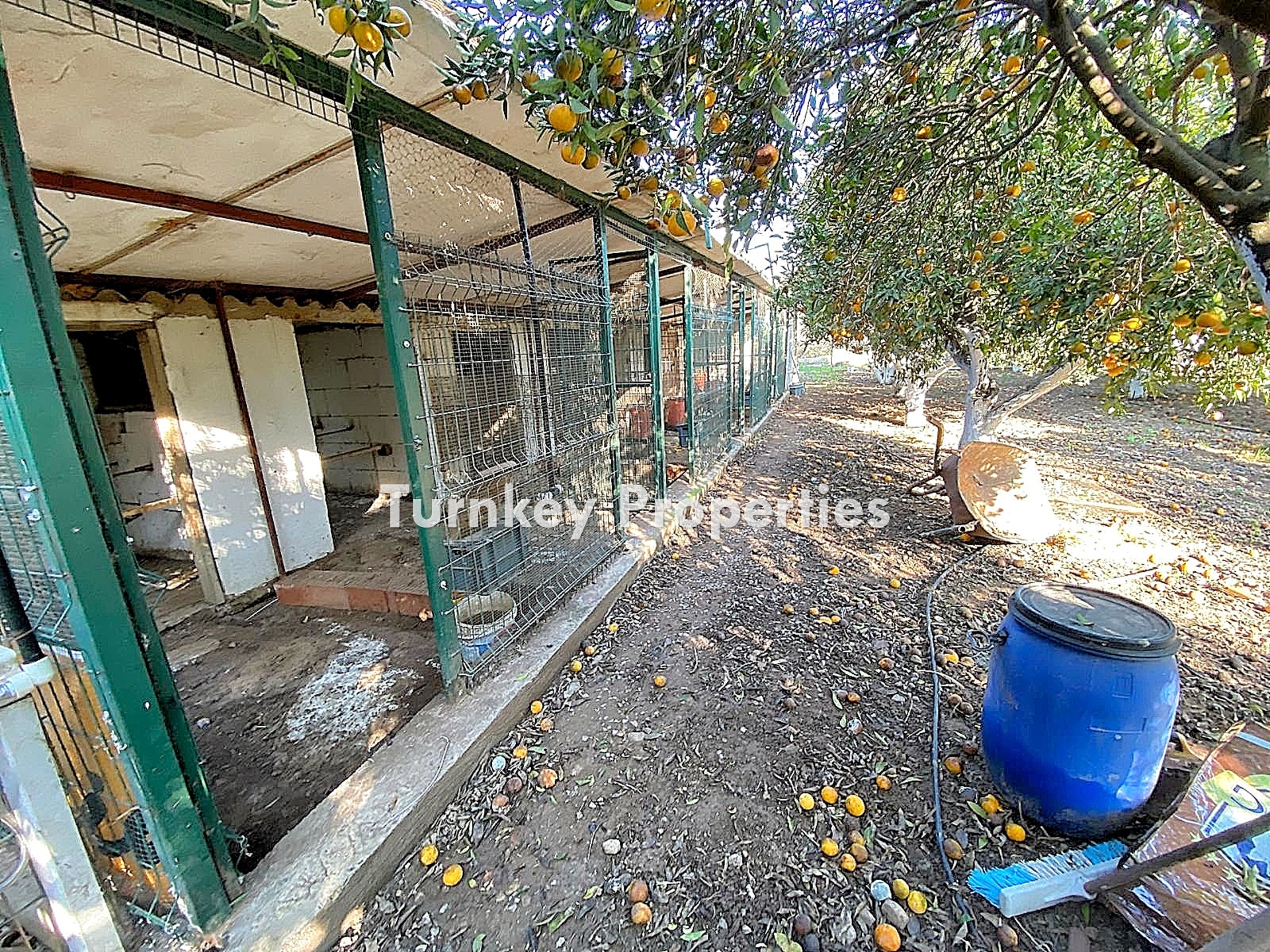 Gündoğan Satılık Arsa Bahçeli Evli Merkezi Konum Yatırım Getirili