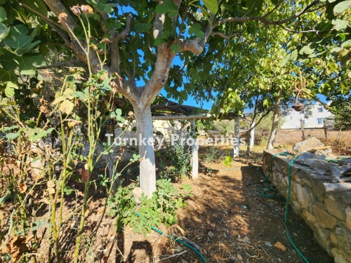 Kumköy Satılık Müstakil Köy Evi Regnum Golf Bodrum Komşu