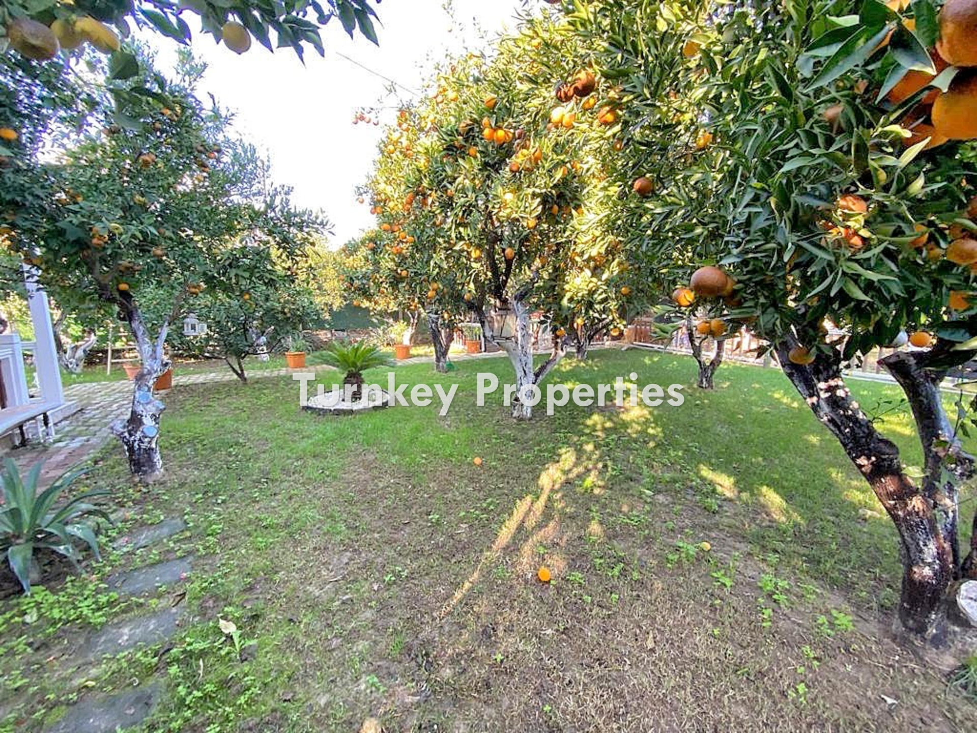 Gündoğan Satılık Arsa Bahçeli Evli Merkezi Konum Yatırım Getirili