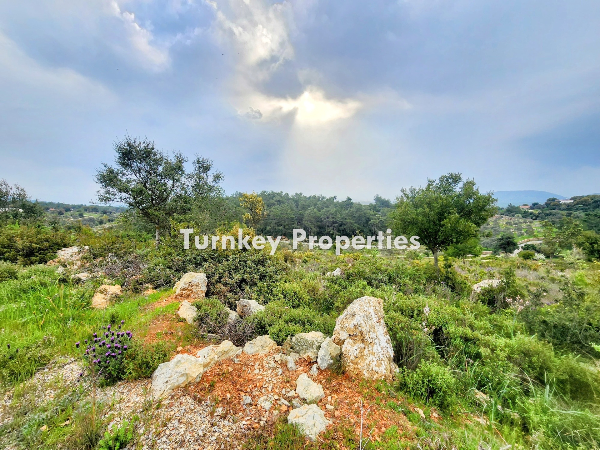 Kumköy, Bodrum Satılık Arazi 11.555 m² Yatırım Değeri Yüksek 