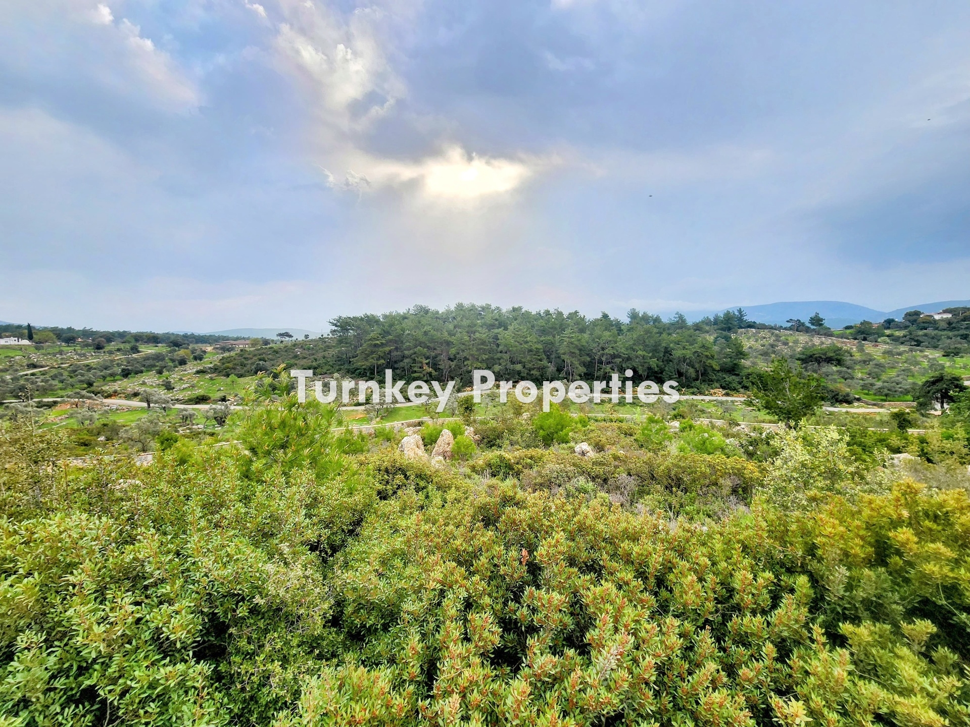 Kumköy, Bodrum Satılık Arazi 11.555 m² Yatırım Değeri Yüksek 