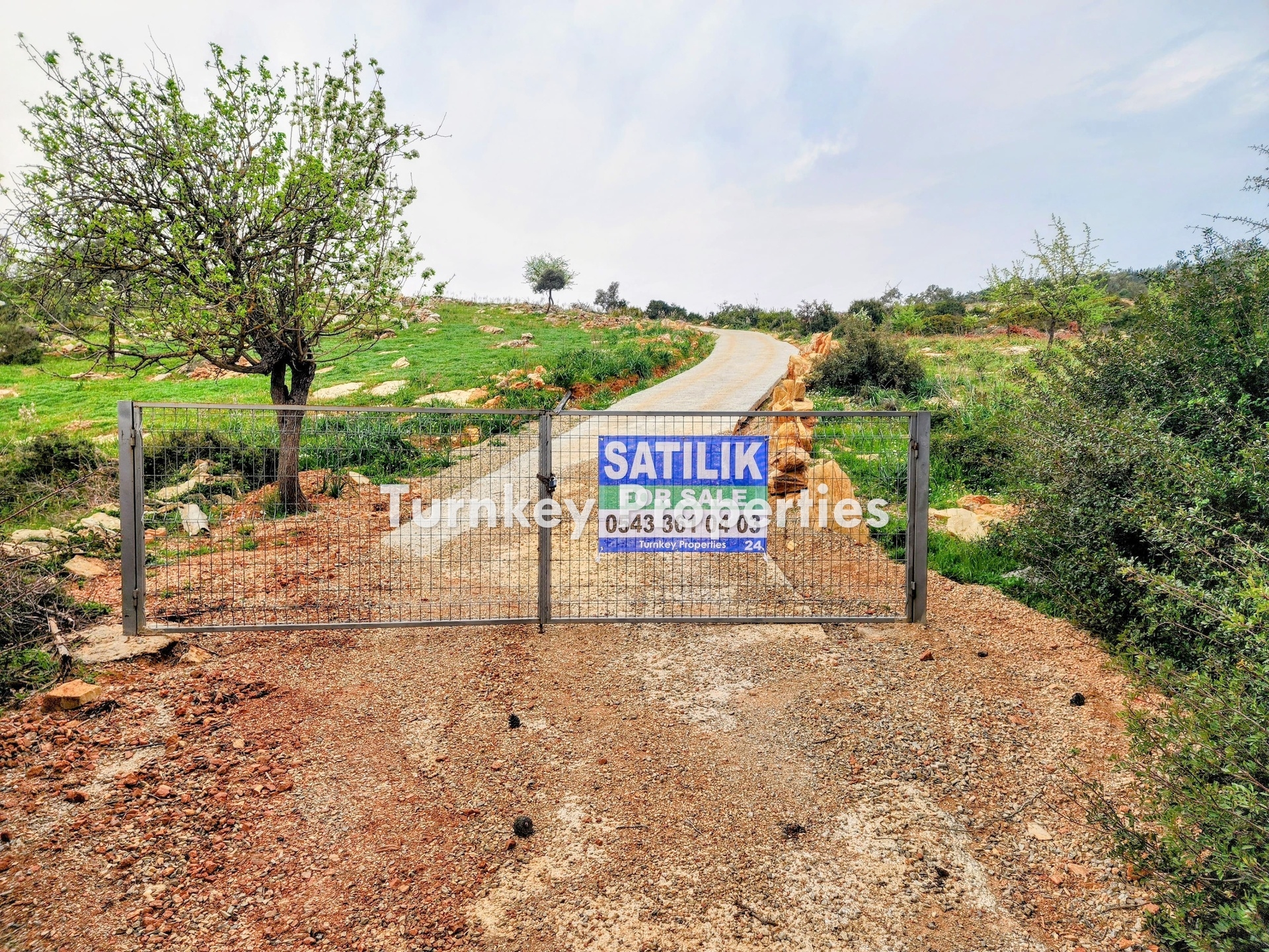 Kumköy, Bodrum Satılık Arazi 11.555 m² Yatırım Değeri Yüksek 