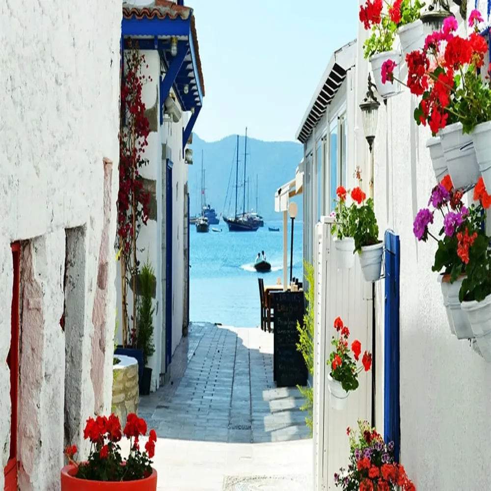 Bodrum’da Ev Alırken Nelere Dikkat Edilmeli?