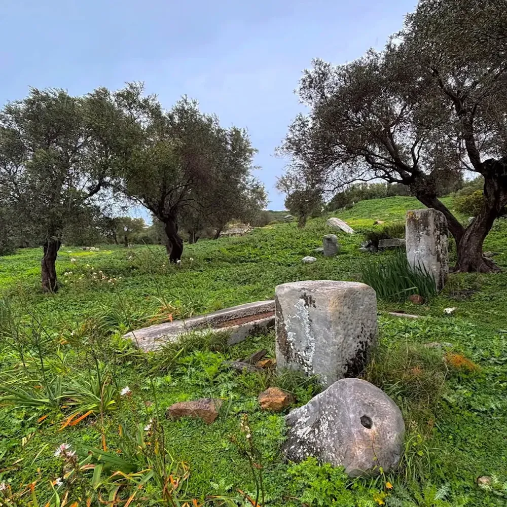 Bargilya Antik Kenti