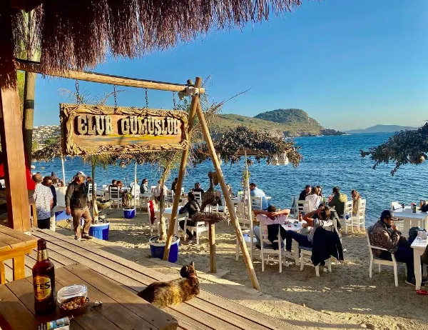 Gümüşlük’te Bir Gün: Neden Bodrum’un En Özel Köşesi?